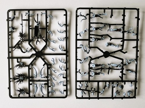 40k chaos daemonettes - chaos, of