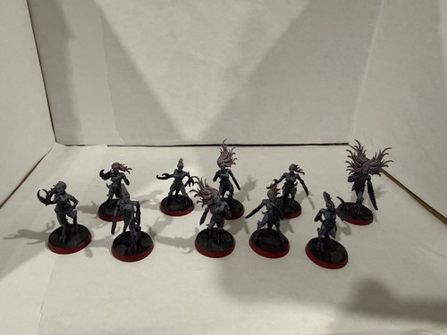 Daemonettes slaanesh 10x - slaanesh,